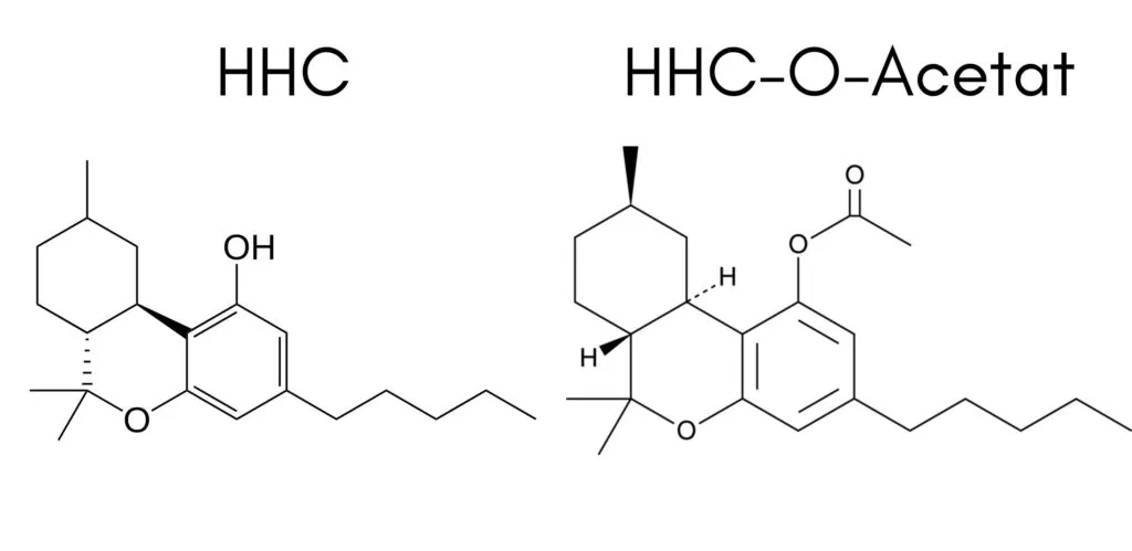         HHC